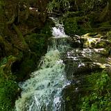 IMG_4587 - Version 2